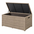 Arcón de almacenaje 120 x 50 x 60 cm de ratán sintético beige para exterior con tapa elevable